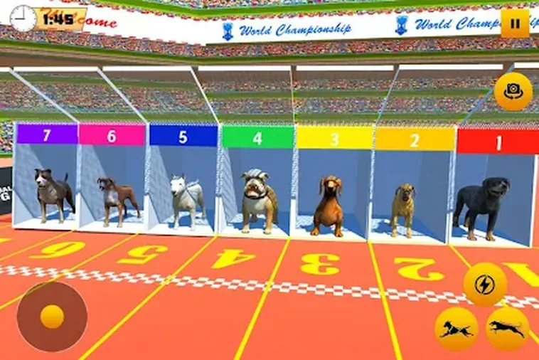 Tăng Tốc Thắng Lớn Với Game Nhanh Đua Chó Tại U888 Ngay Hôm Nay